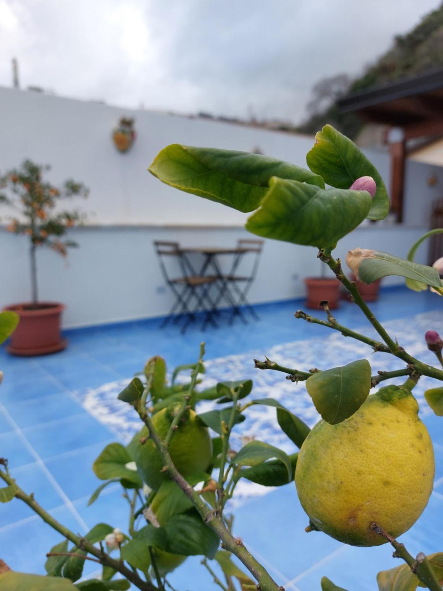B&B La Filanda Scilla Luaran gambar